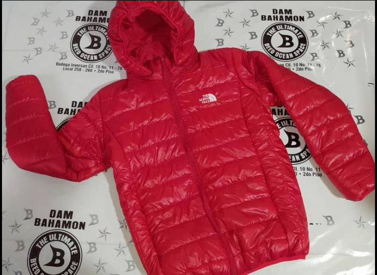 Chaqueta norface brillante hombre